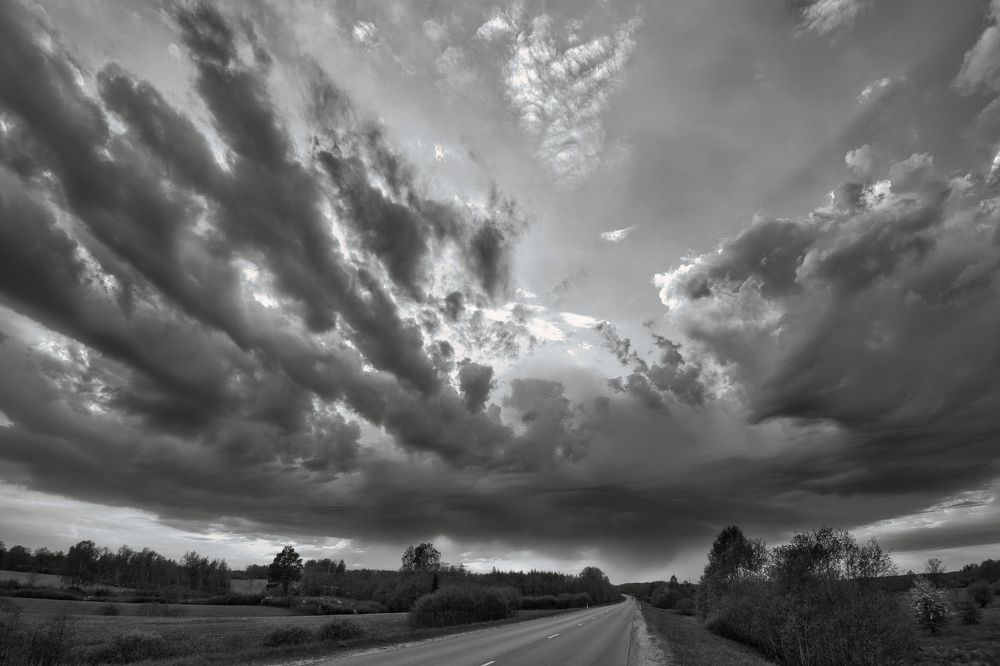 Photograph by Janis Serdienis