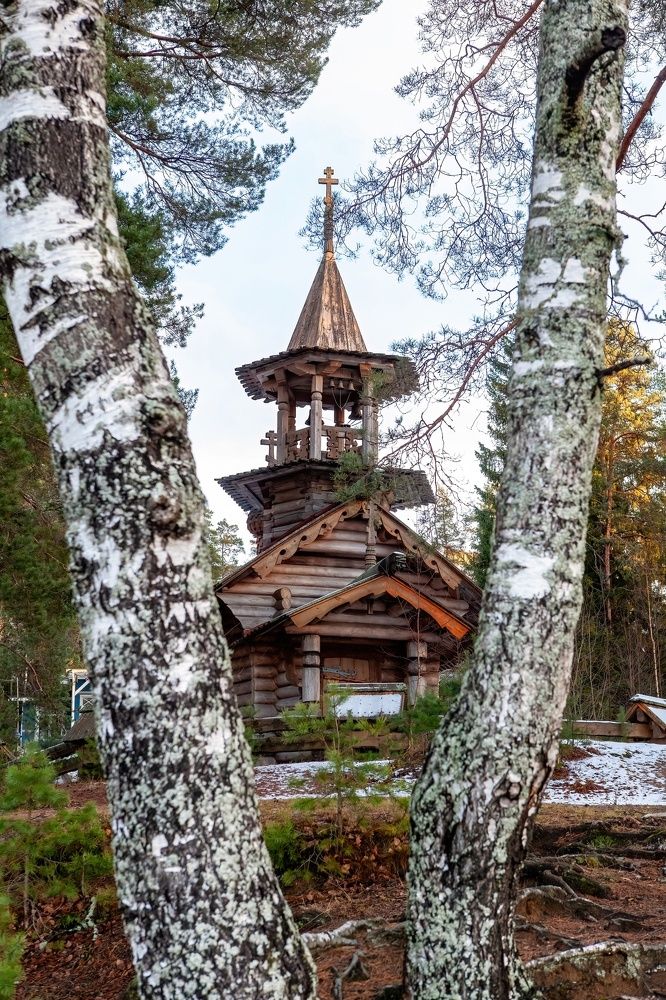 Фотография автора Ольга Зимина