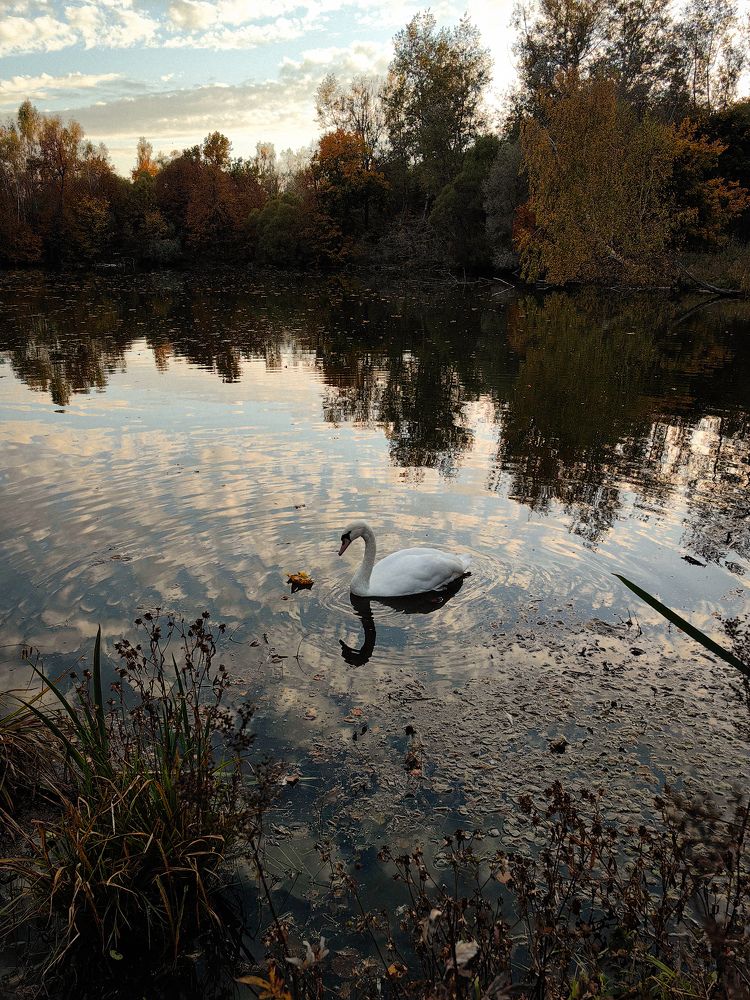 Photograph by Ольга Карева