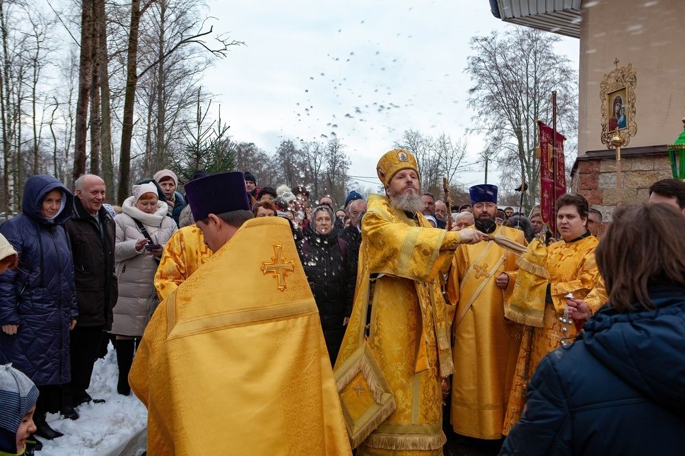 Фотография автора Ольга Зимина