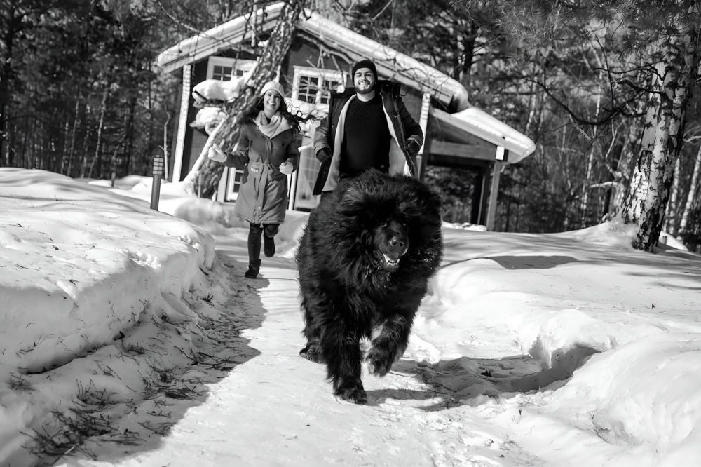 Photograph by Алена Фадеева