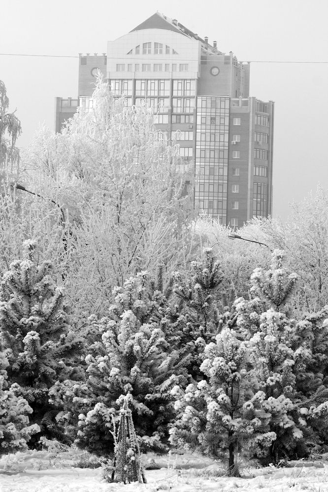 Photograph by Сергей Черных