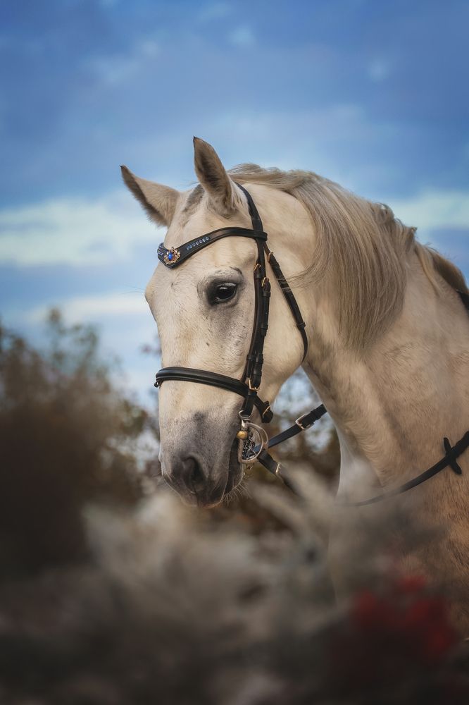 Photograph by IrenRRR