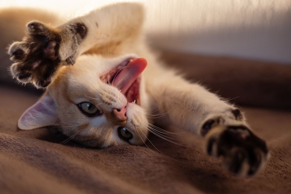 Photograph by Oksana Maskalenko