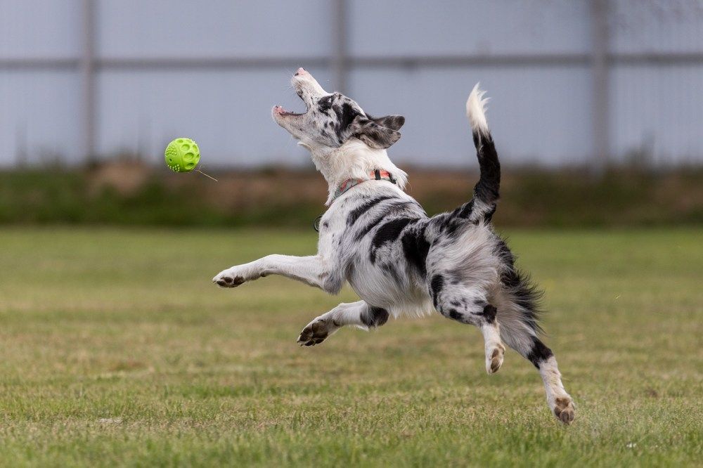 Photograph by IrenRRR