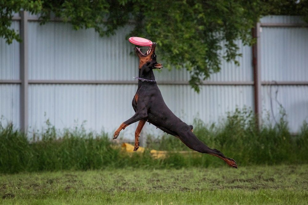 Photograph by IrenRRR