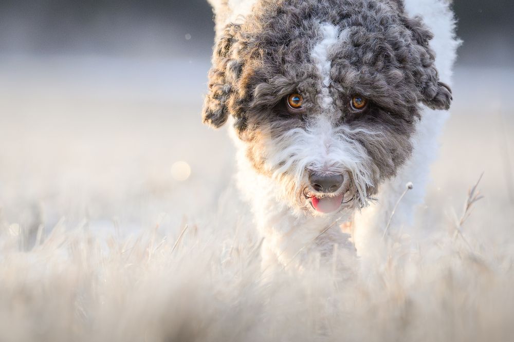 Photograph by Dmitry Ishniyazov