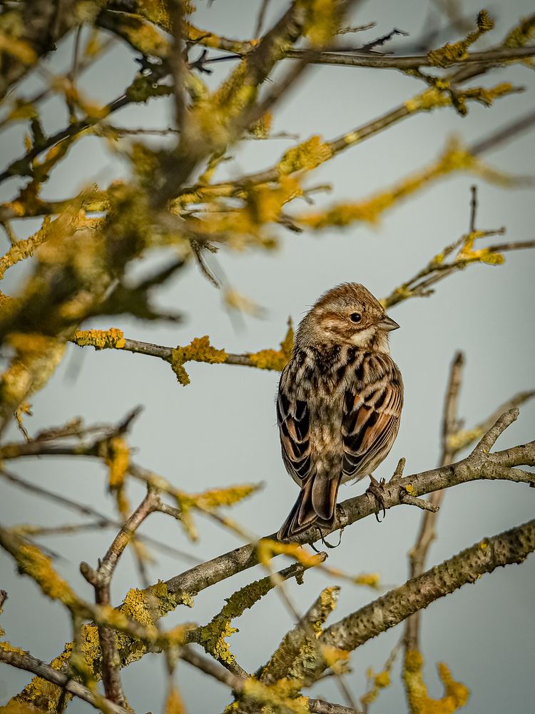 Photograph by Andrea Barlotti