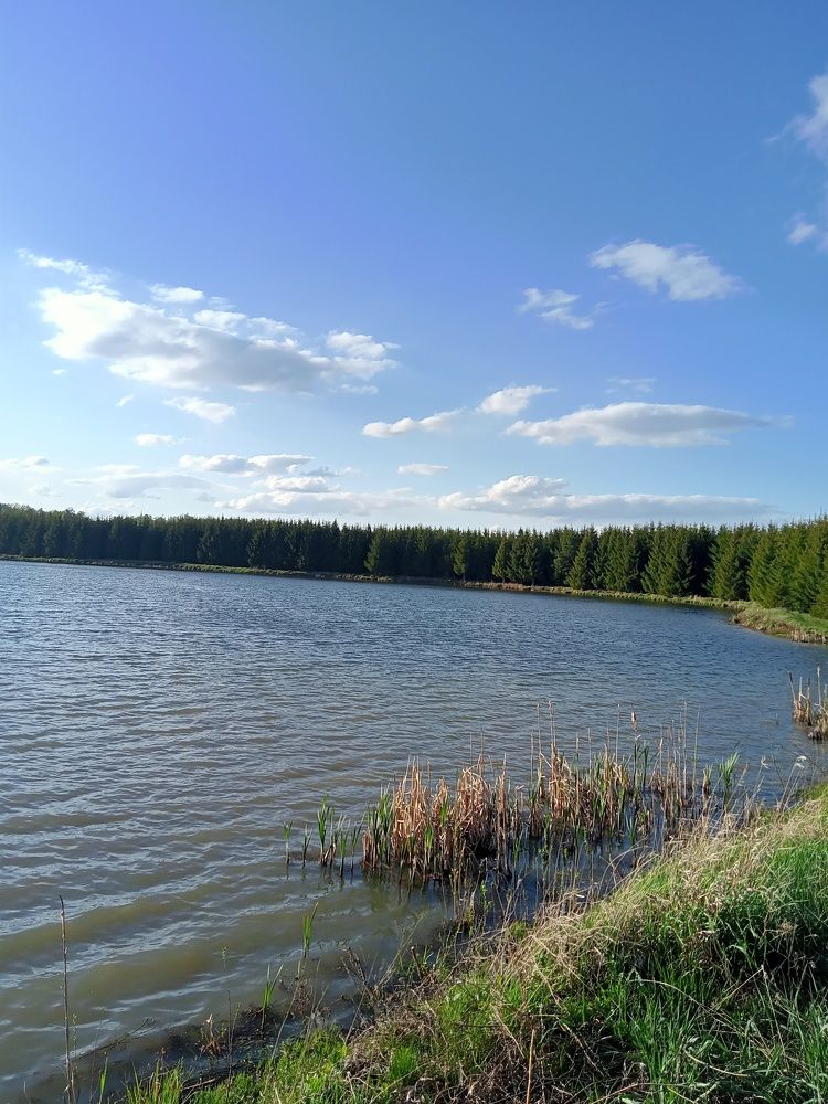 Photograph by Ольга Сергеева