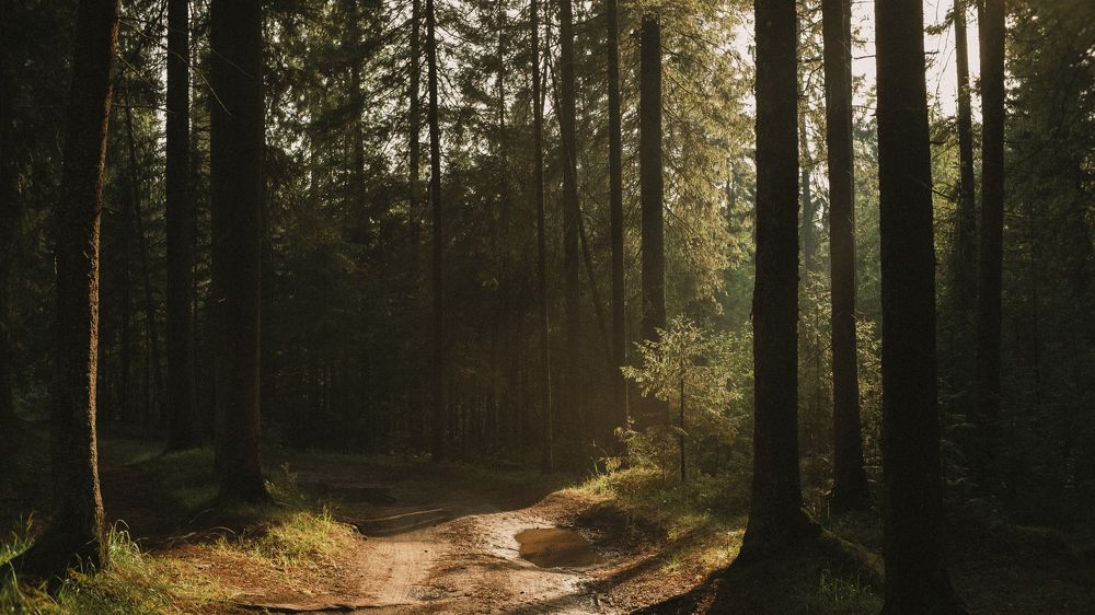 Photograph by Florian Wood