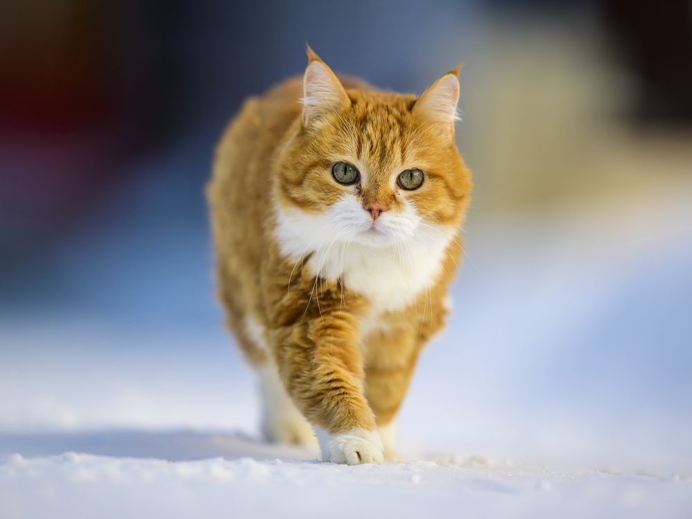 Photograph by Пупонин Сергей