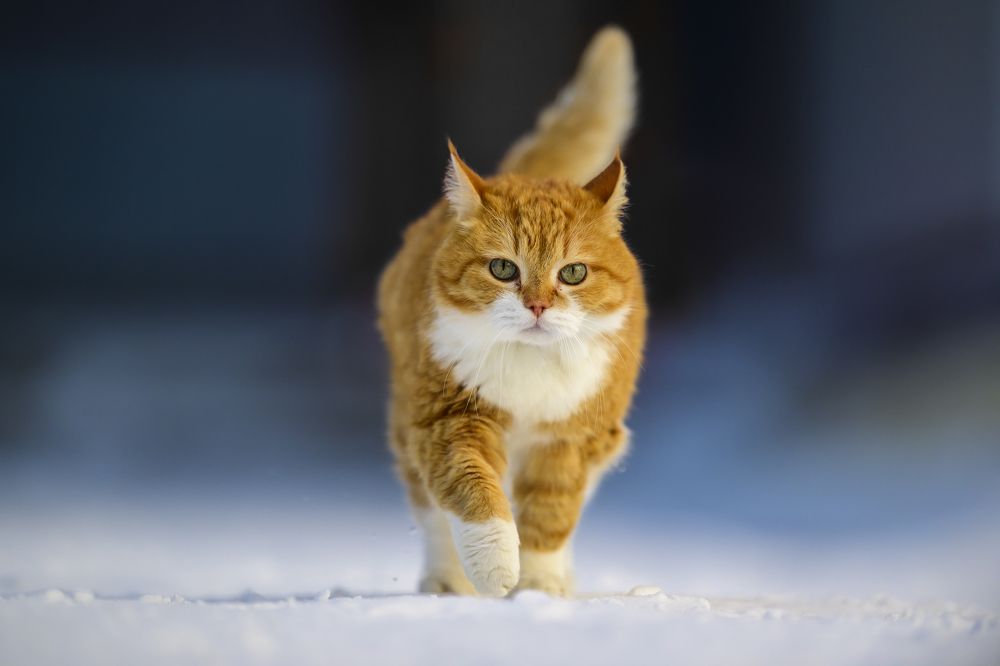 Photograph by Пупонин Сергей