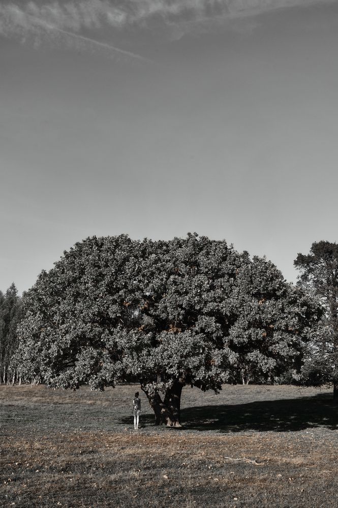 Photograph by Добролюбова Ксения