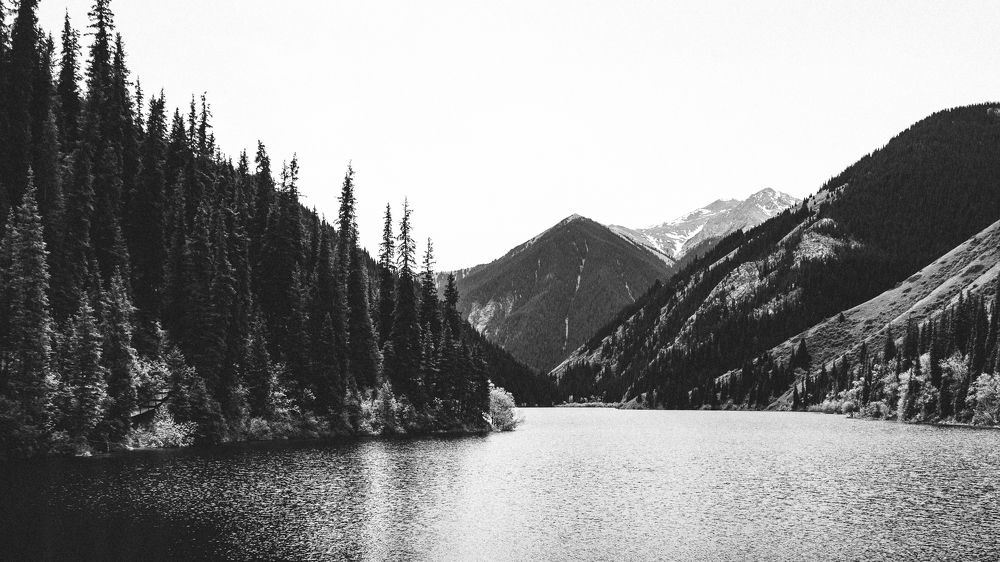 Photograph by Danil Shipulin