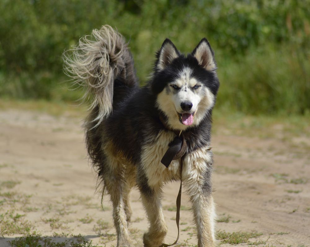 Photograph by Владислав Кравцов