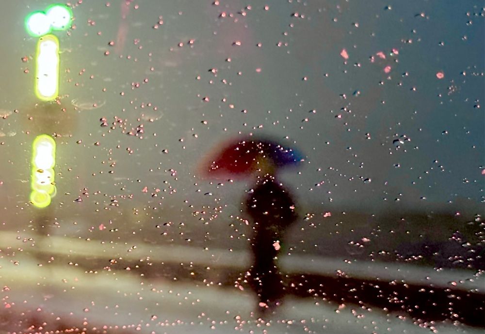 Photograph by Musaib iqbal bhat