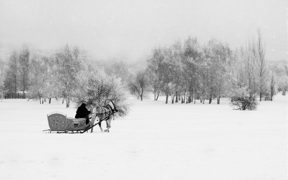 Фотография автора Кулешов Сергей