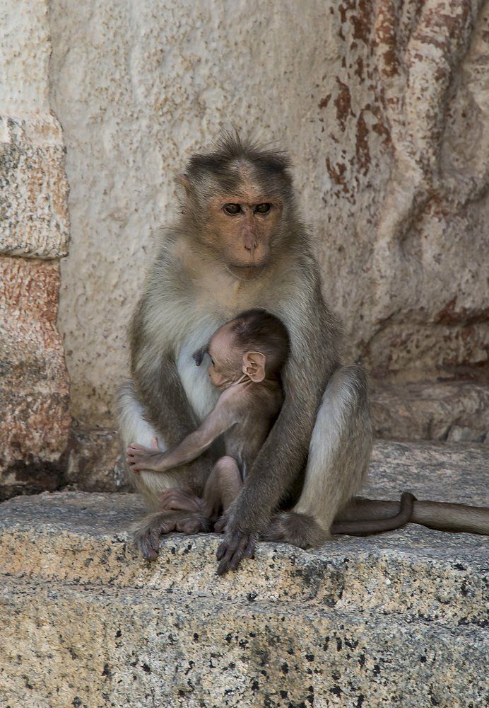 Самое дорогое...