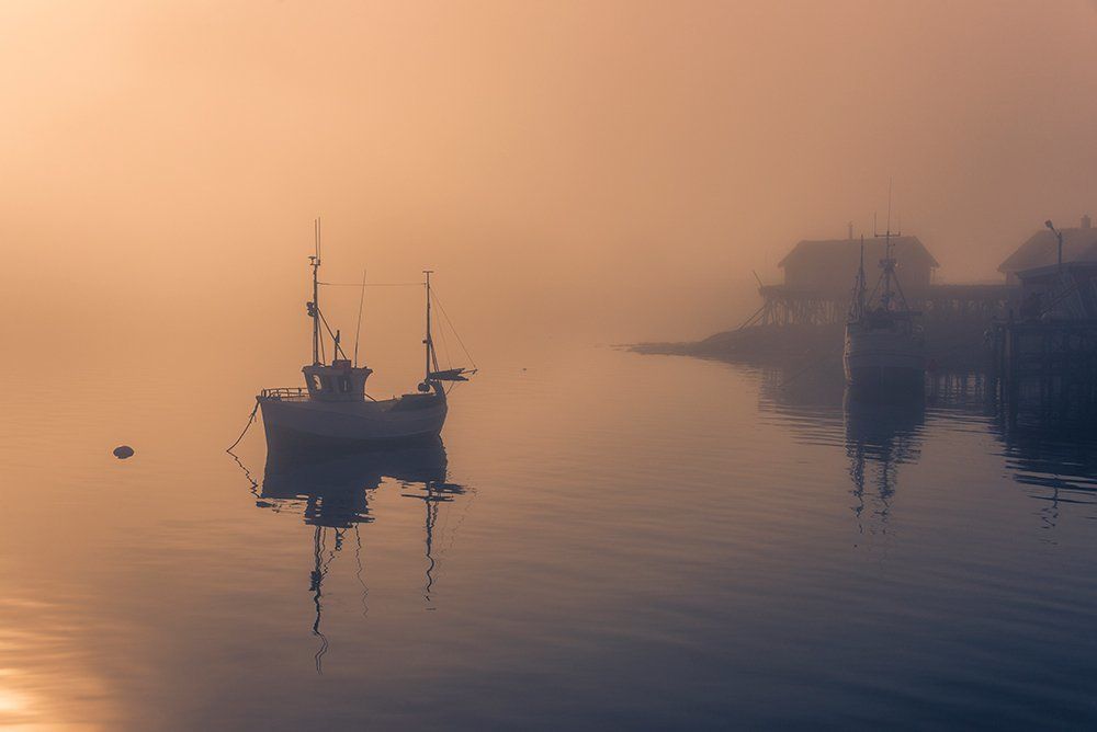 Туманное утро