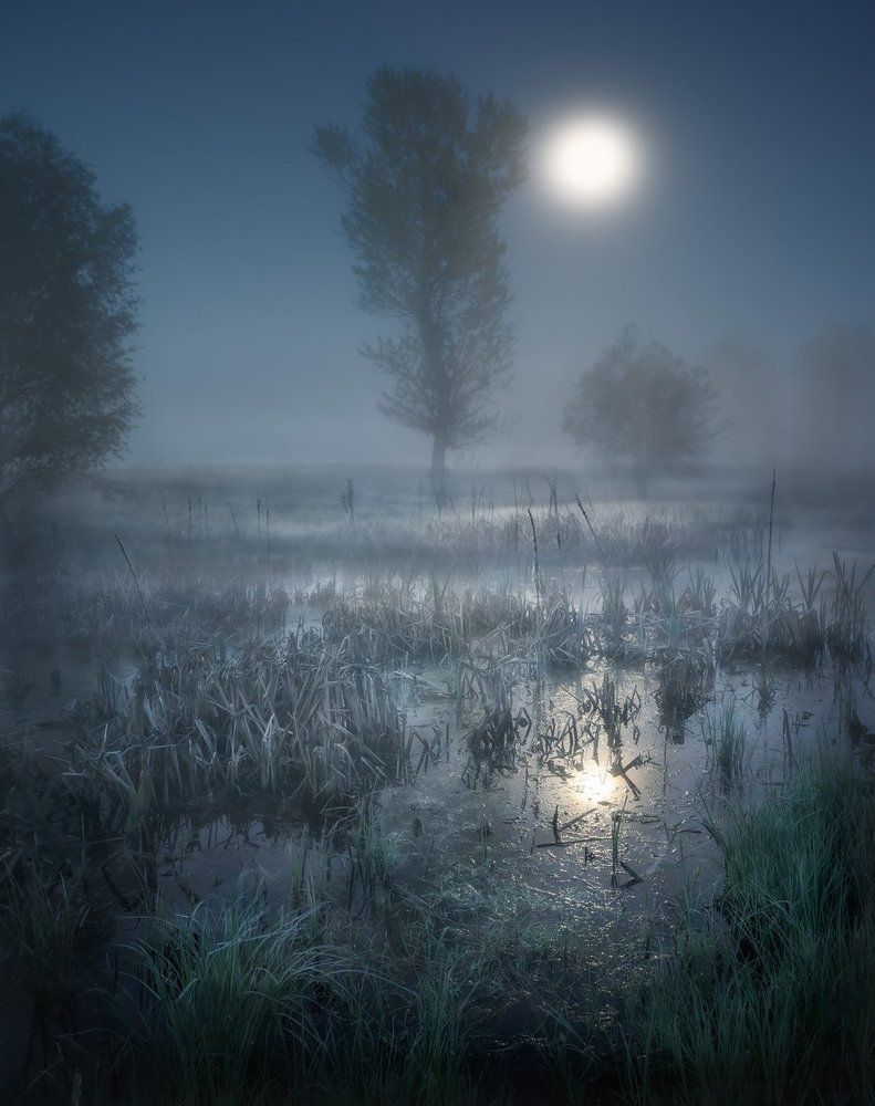Полнолуние на Болоте