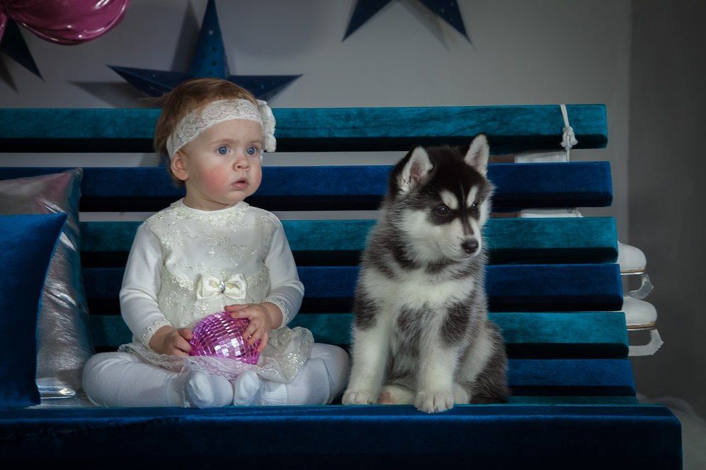 Два взгляда