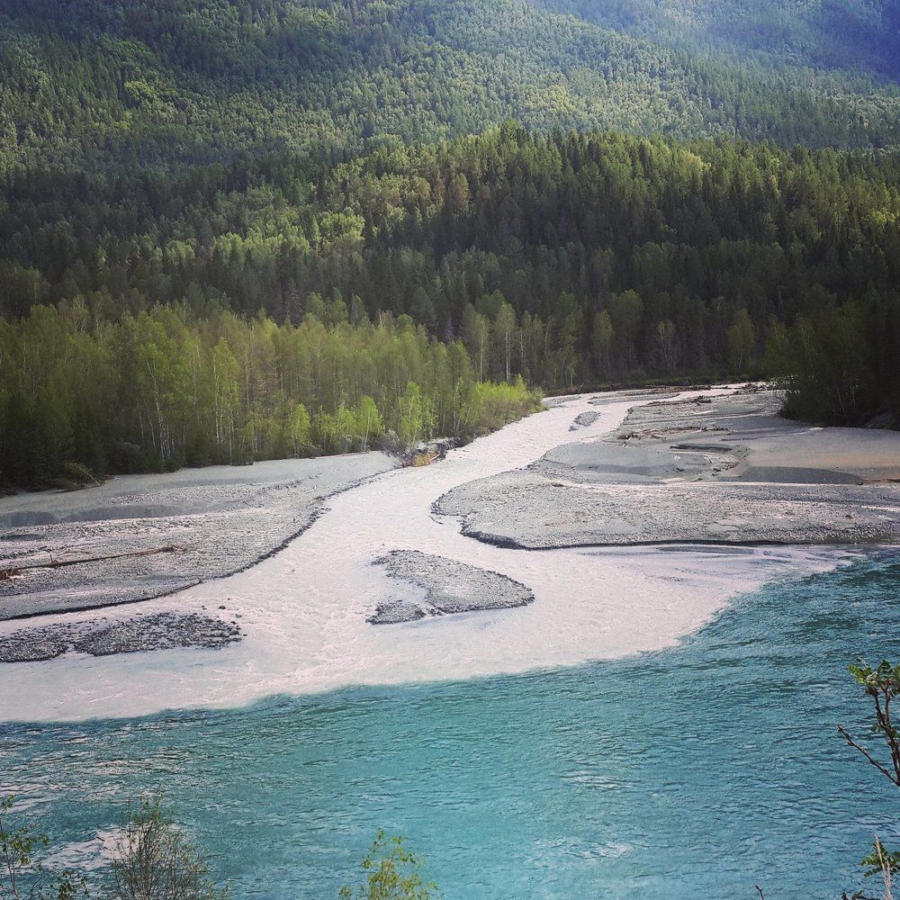 Photograph by Полина