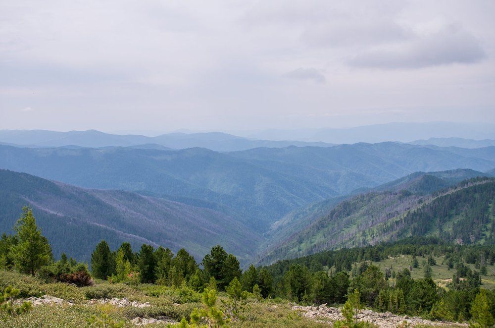 Вдали от суеты