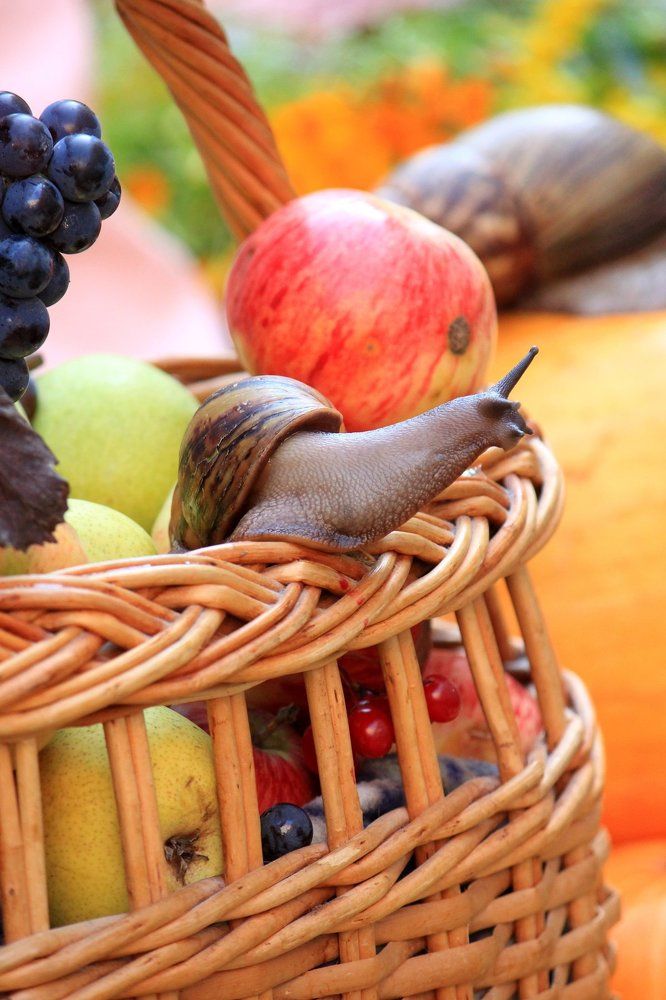 Высоко сижу, далеко гляжу.