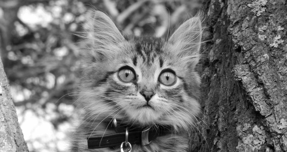 We to a degree have become selfish, forgetting about our friends!