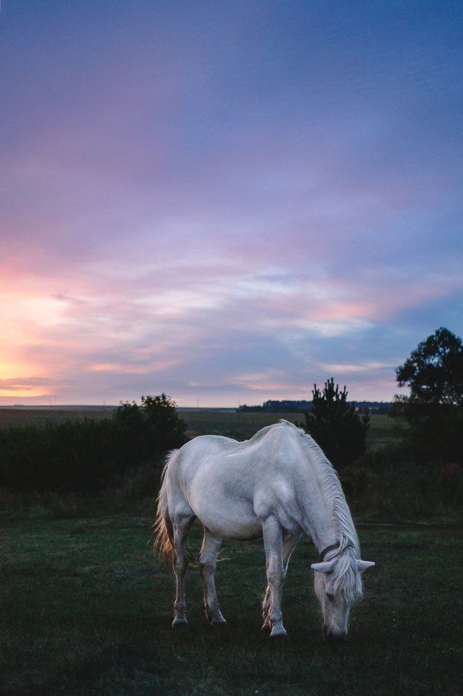 Photograph by Мари