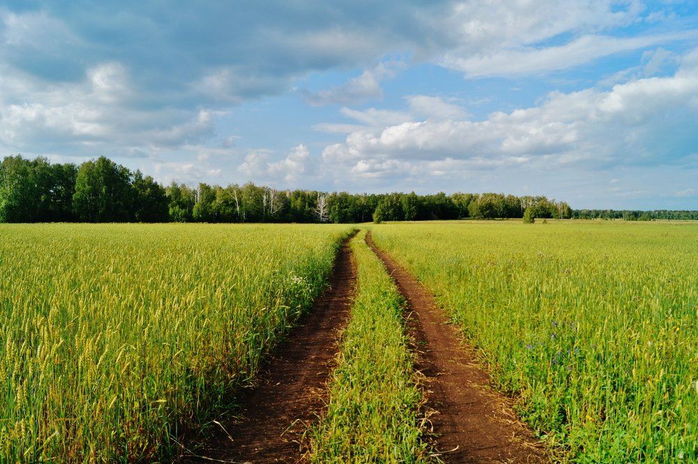 Дорога в даль
