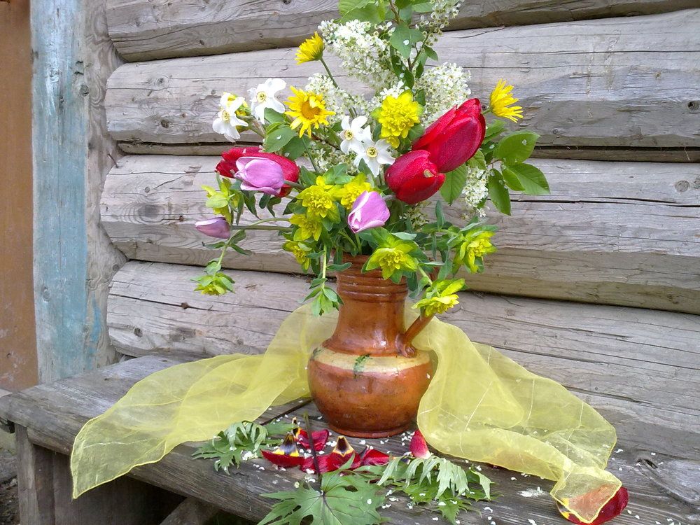 Весна на деревенской лавочке .