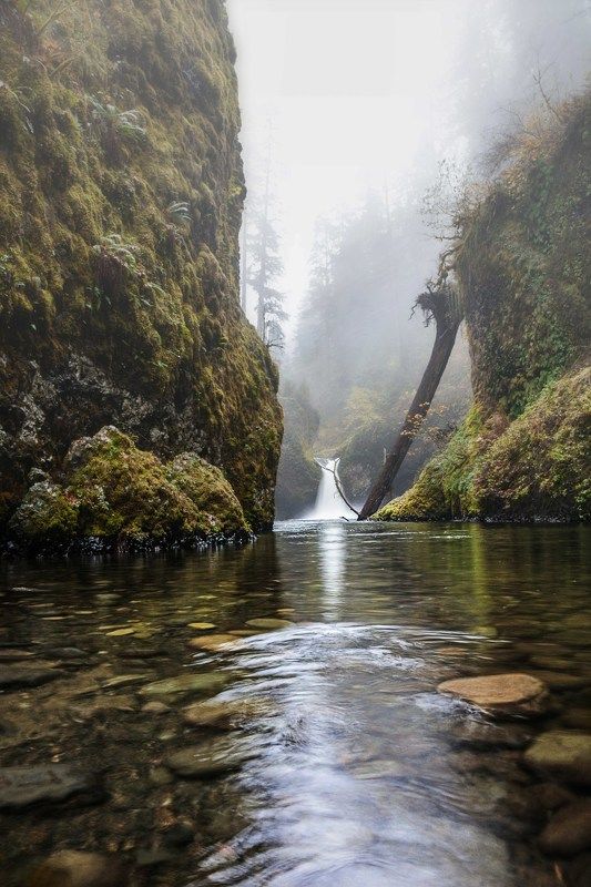 Виктория, USA