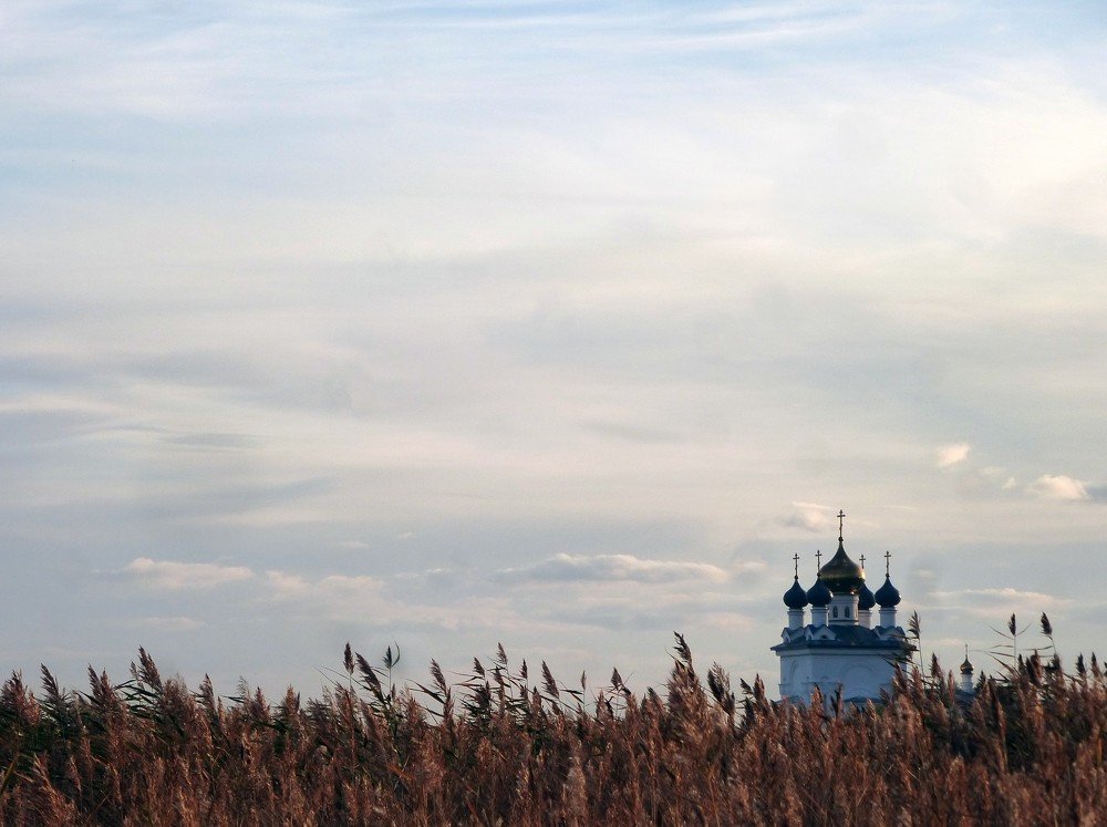 Под покрывалом неба