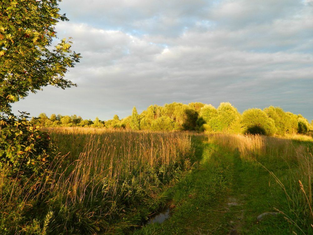 Перед грозой