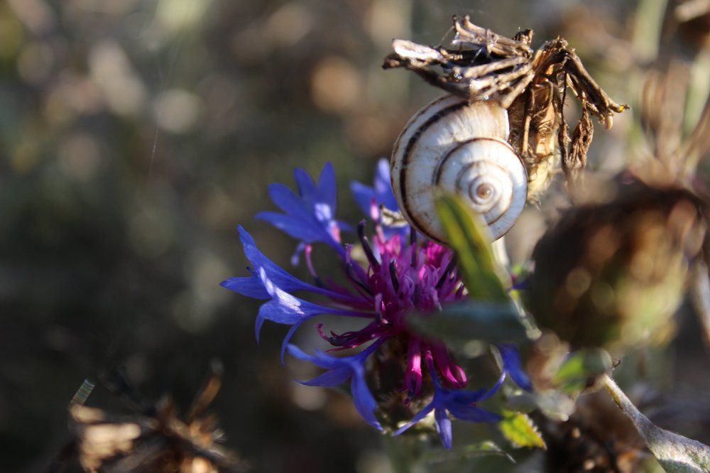 Photograph by Александра