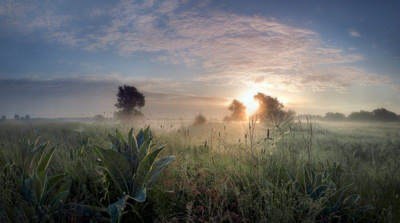 Vorobiev Sergey, Ukraine