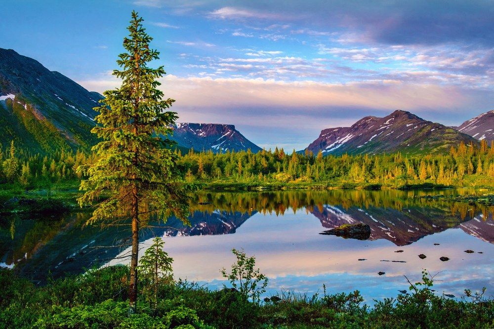 Ночь середины года