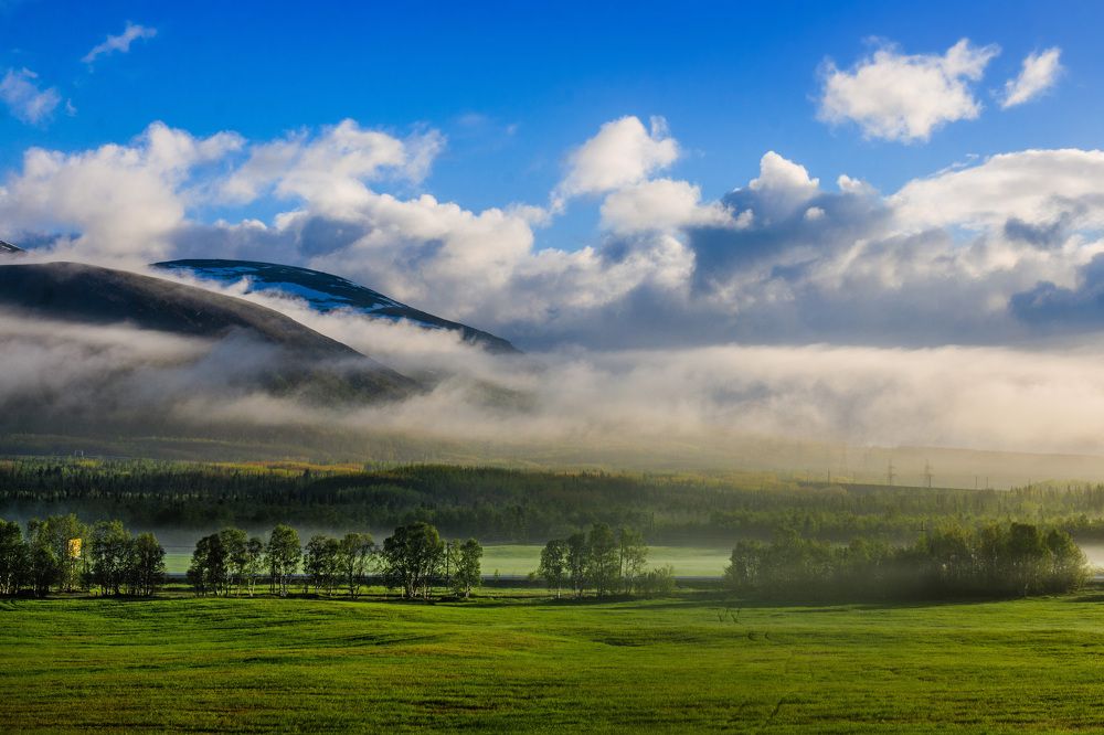 Туманное утро в День России