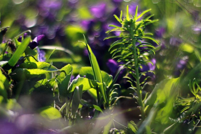 Ткачук Оля, Ukraine