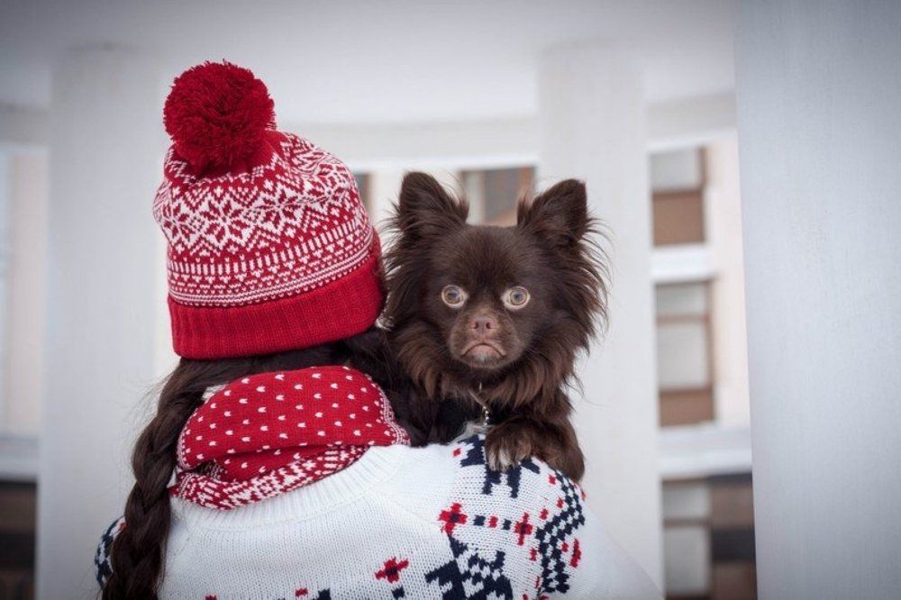 Photograph by Виктория