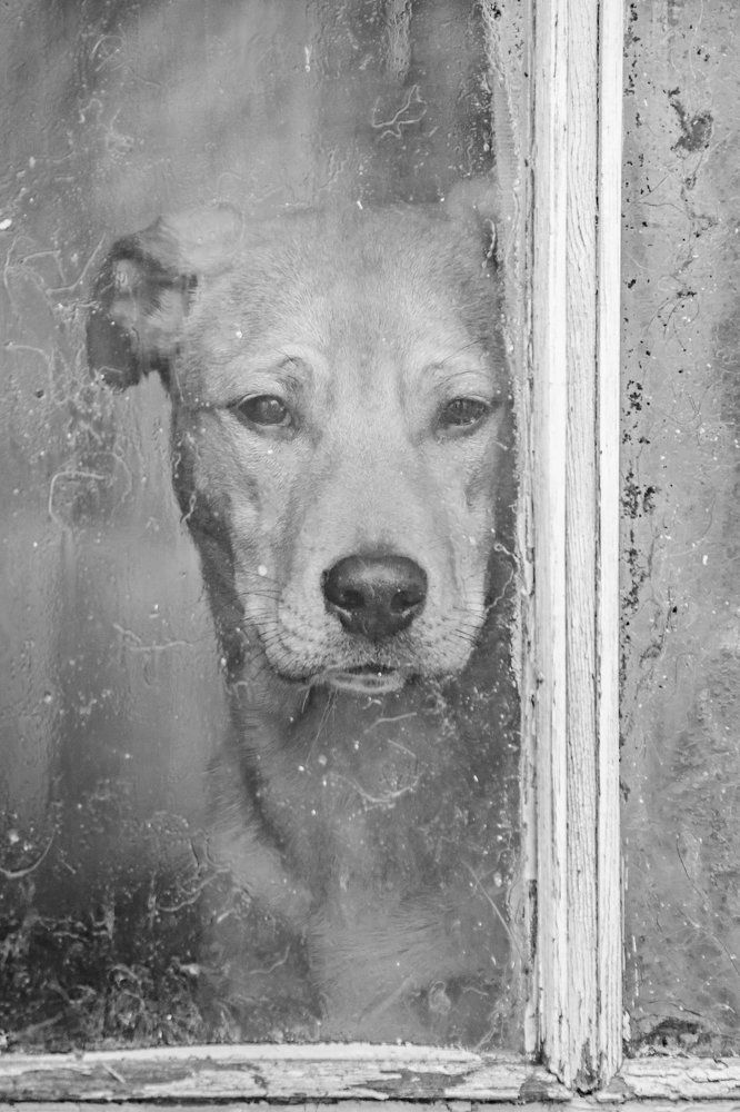 Грустное фото