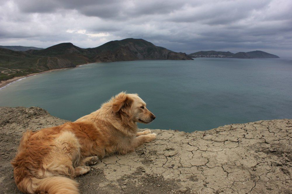 На краю обрыва