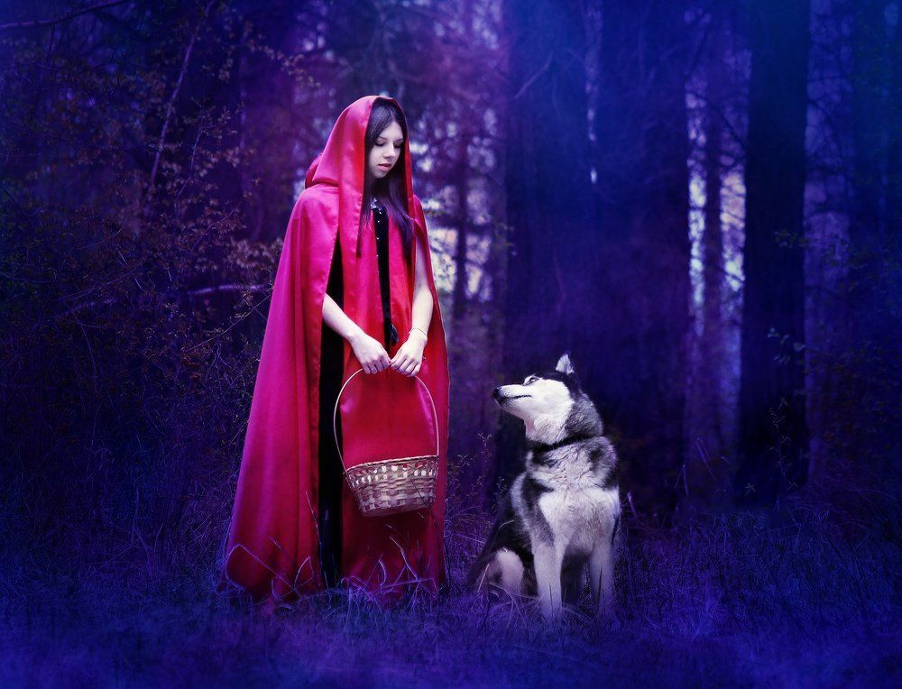 Куда ты идешь, Красная Шапочка?