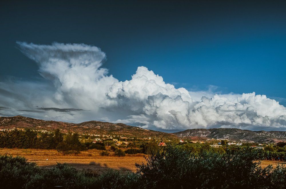 Крылья ангела