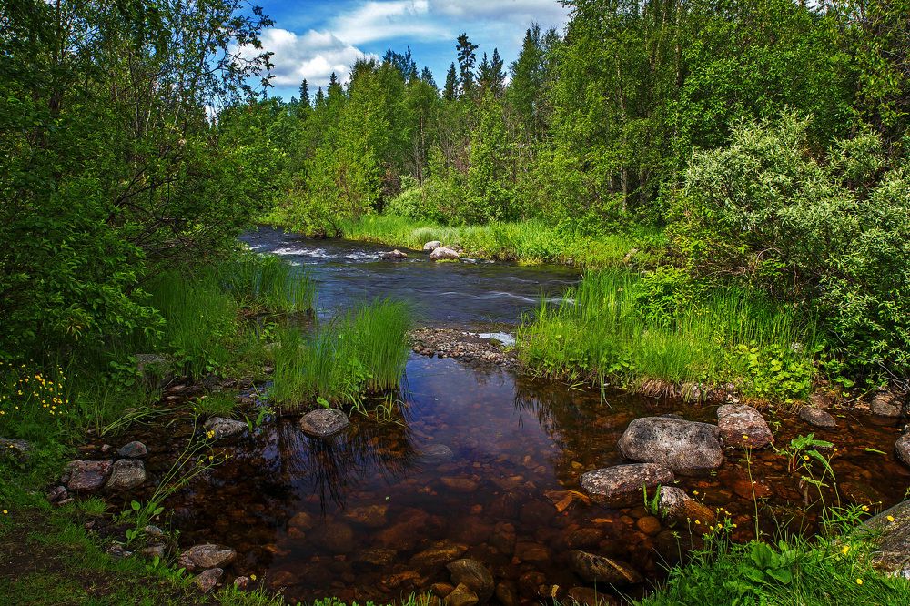 Тихая заводь