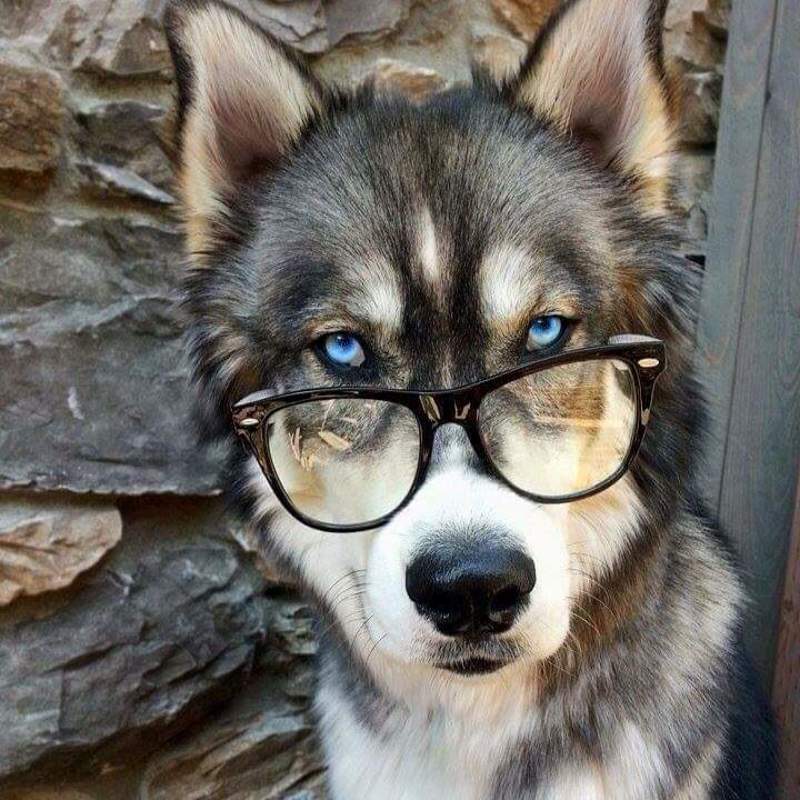 Аурелия, Lithuania