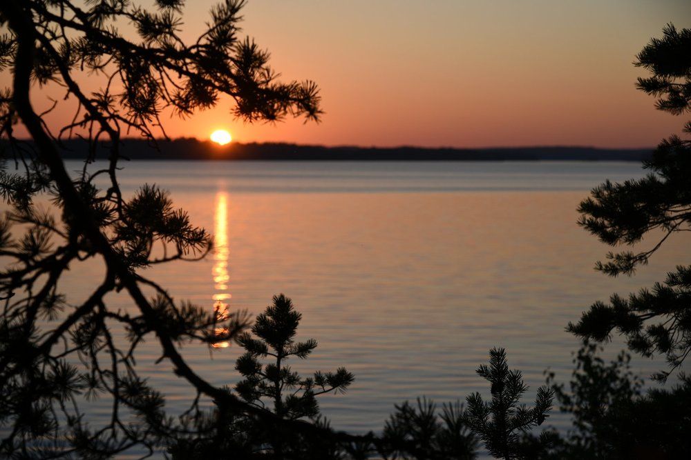 Вид из гнезда