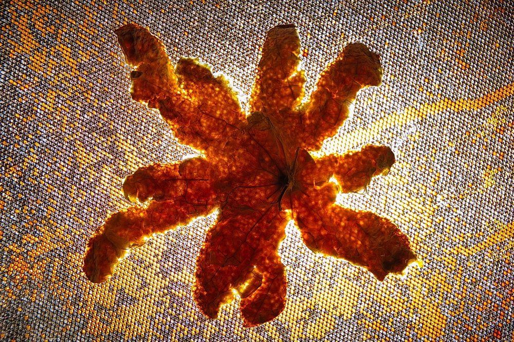 Огненный январский фантом атакует