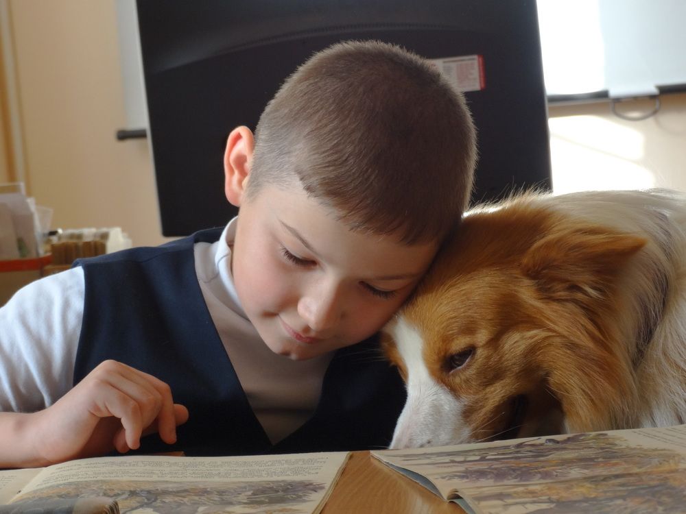 Канис-терапия